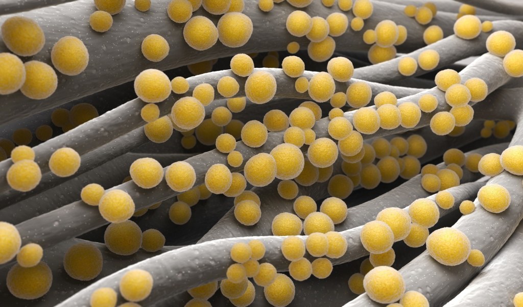 Study reveals alarming global burden of antimicrobial resistance in bacterial infections