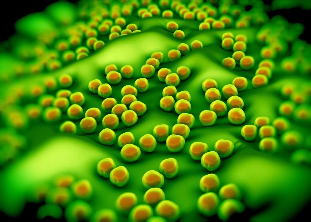 A New Potential Method To Treat Superbug Infections